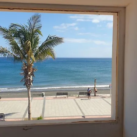 A Orillas De La Playa De 타라할레호